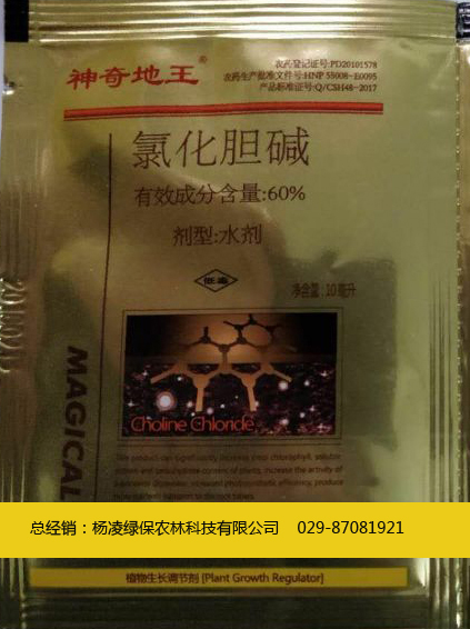KKooa(chn)-----